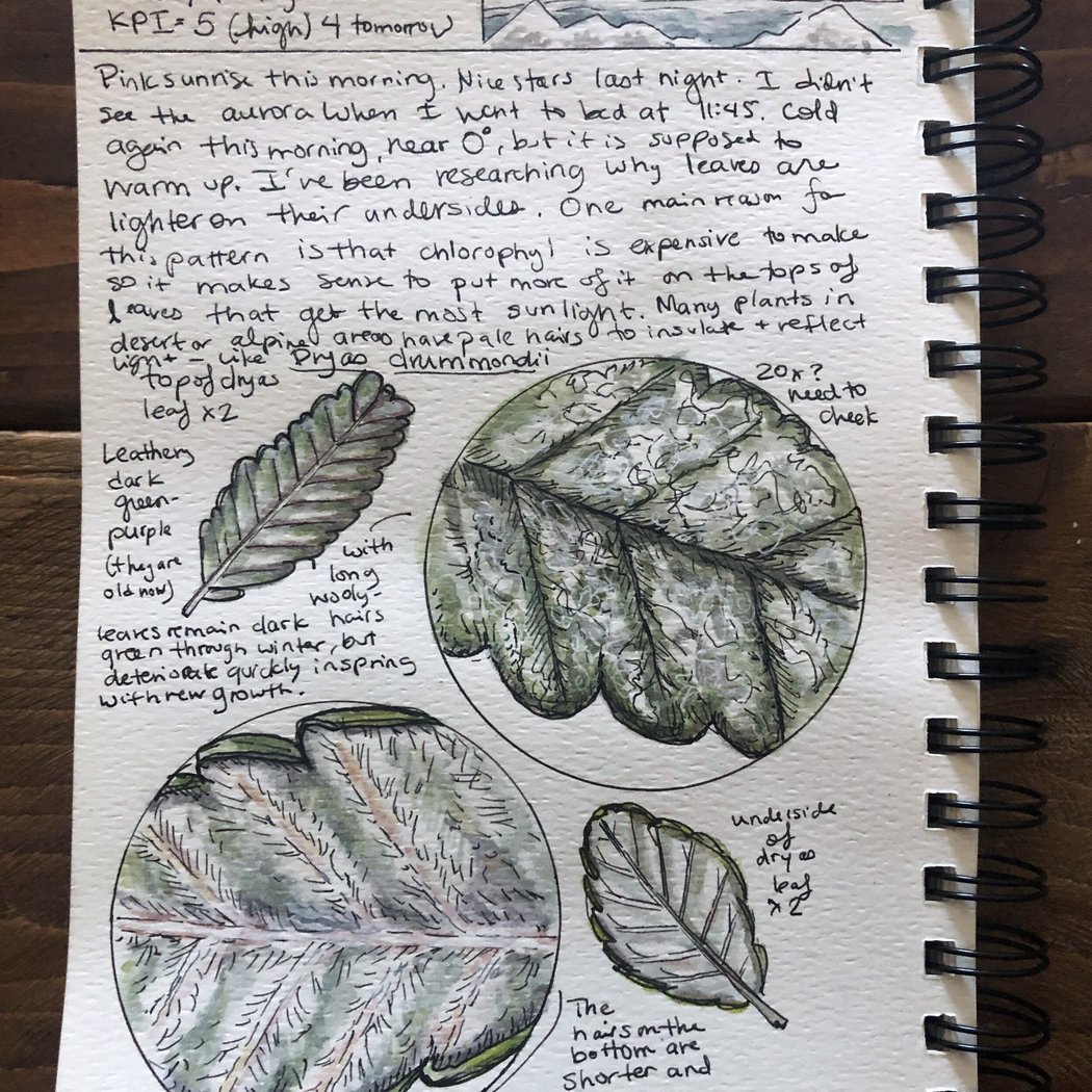 Intro to Nature Journaling 3