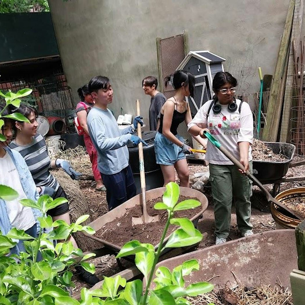 Green Oasis Community Garden Volunteer Days