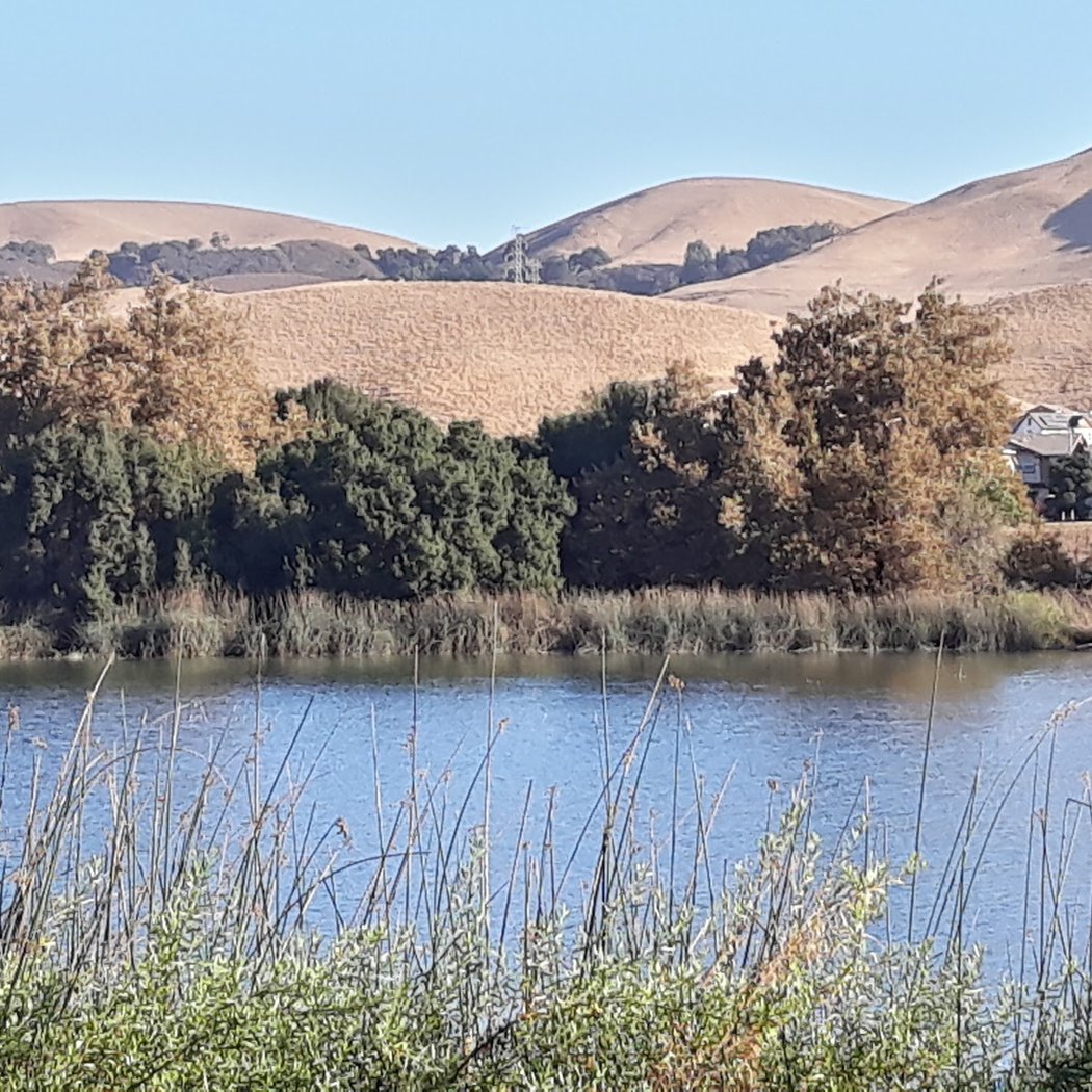 Metcalf Park 3