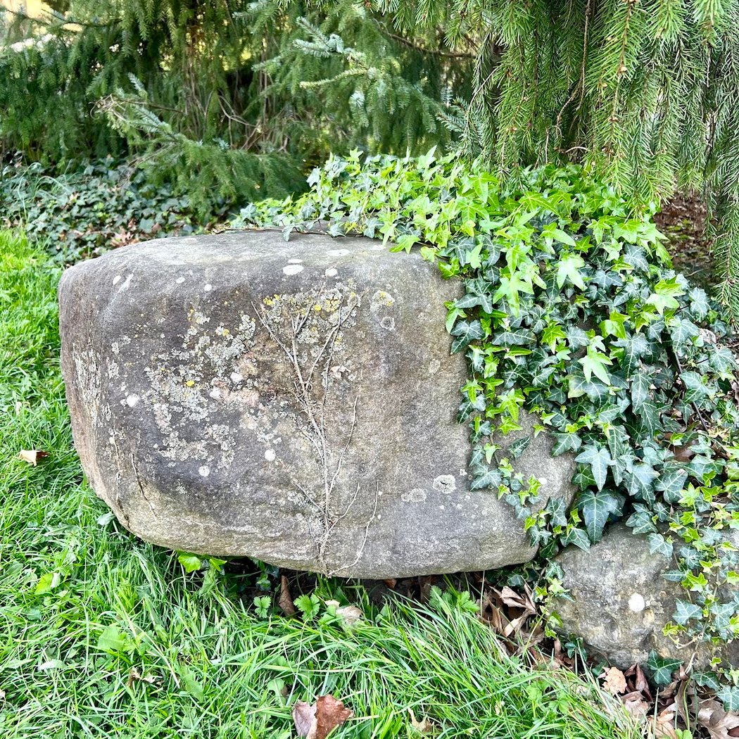 Rock Garden 3