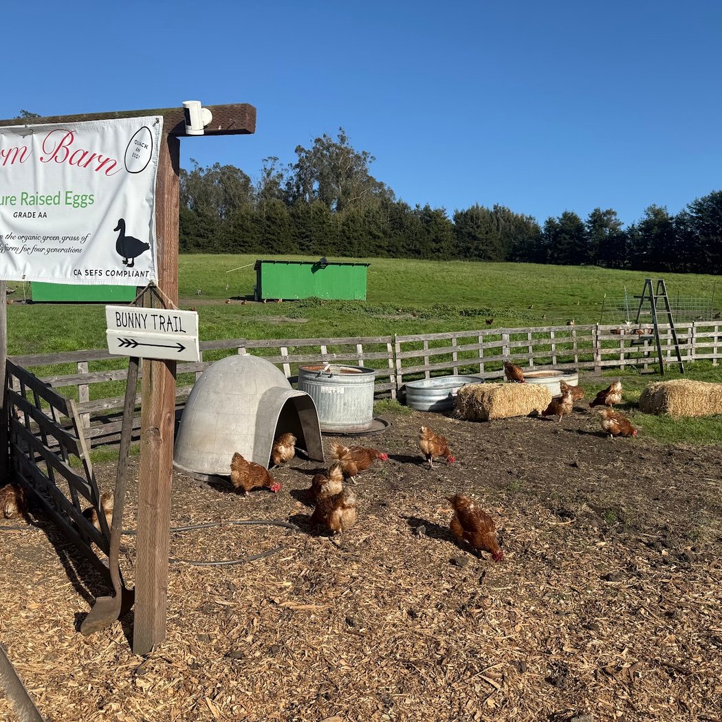 Spring Eggstravaganza 1