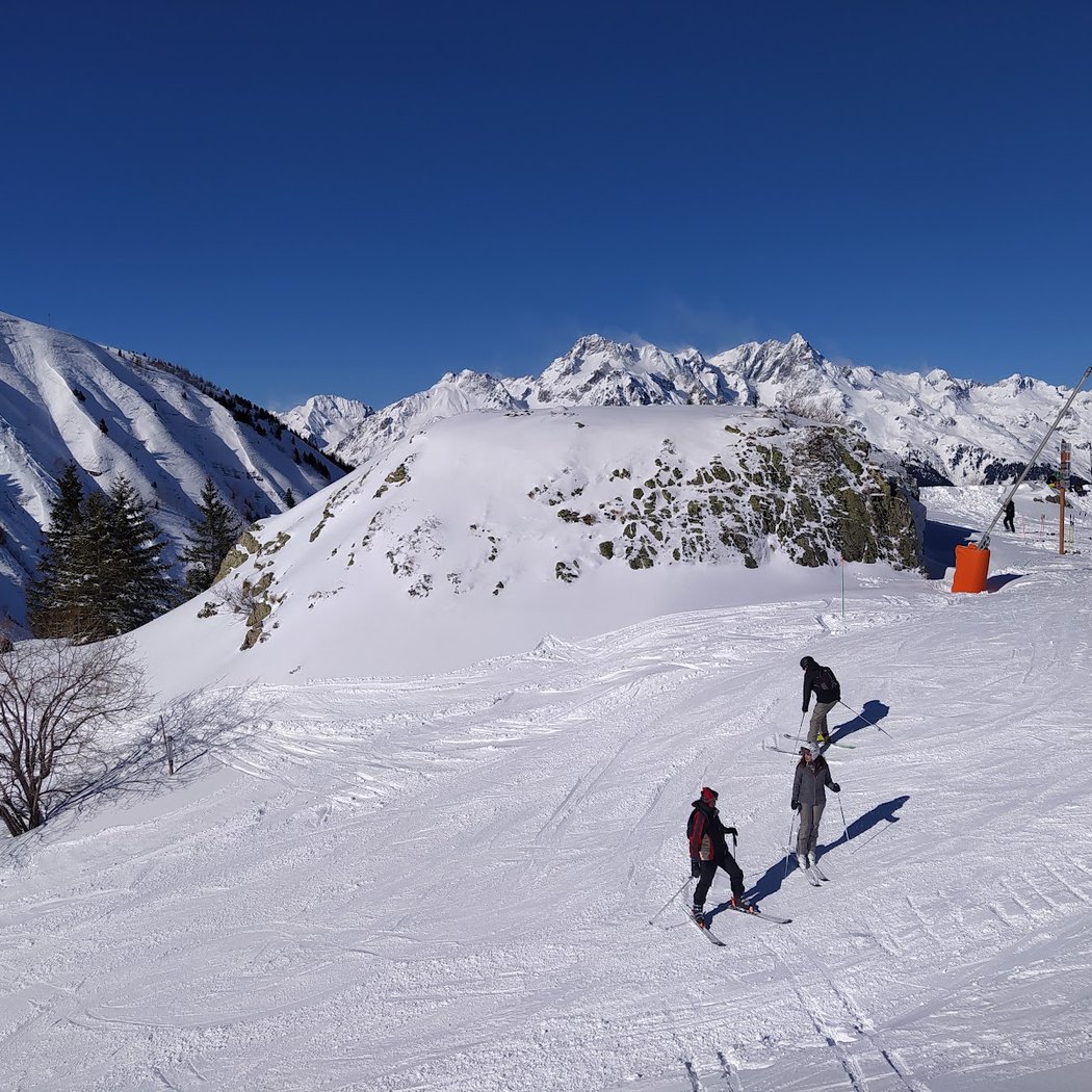 French Ski School Oz 3300 3