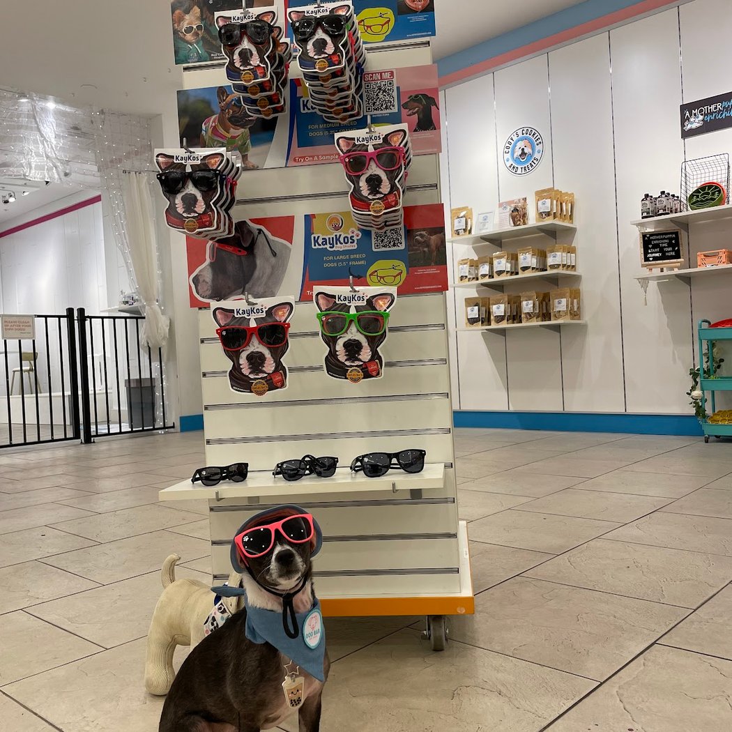 Dog Bar 1