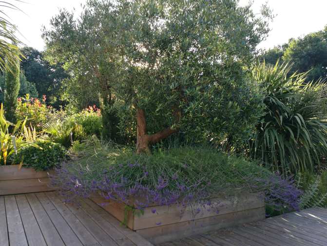 BIHOTZA PAYSAGE 1