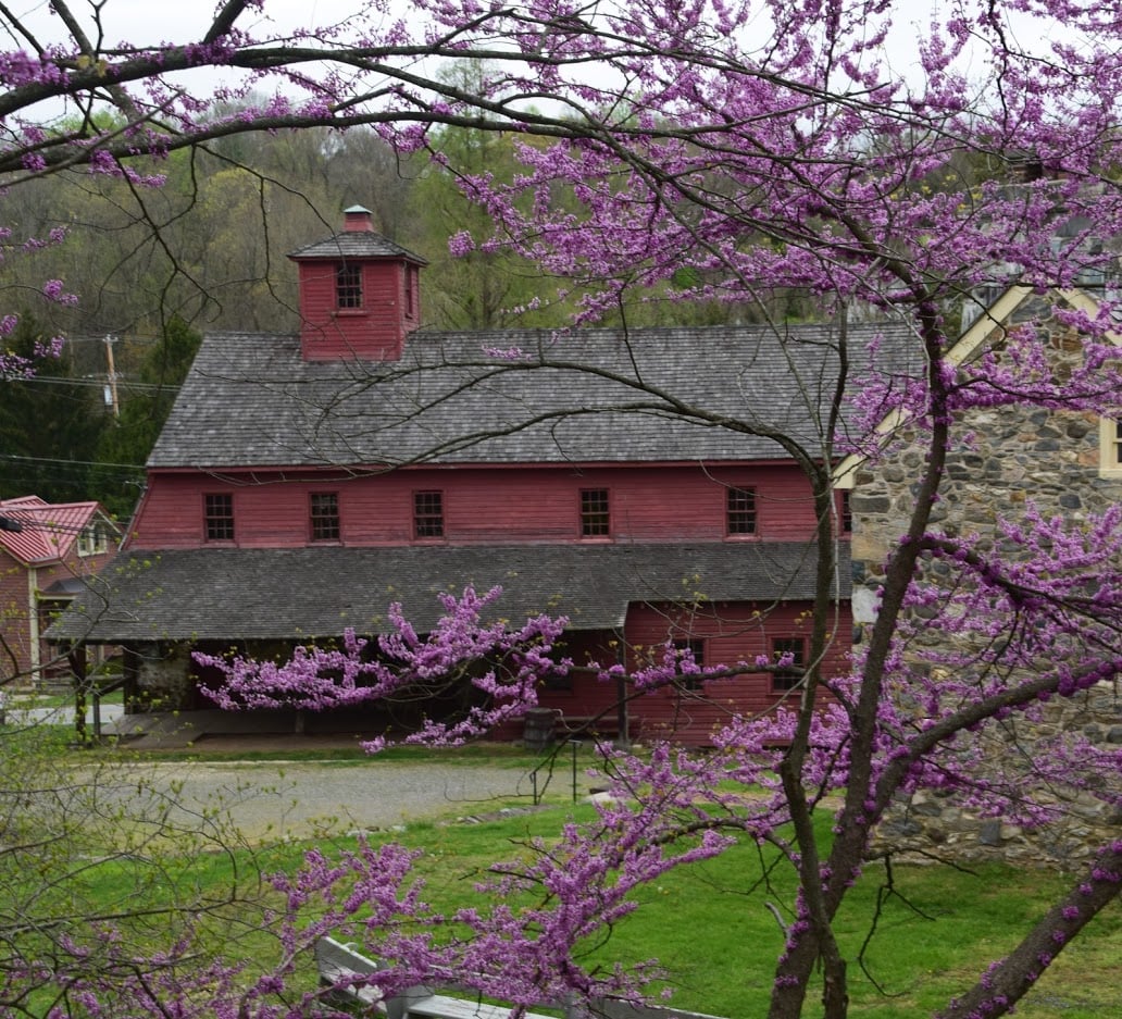 Newlin Grist Mill Park 5