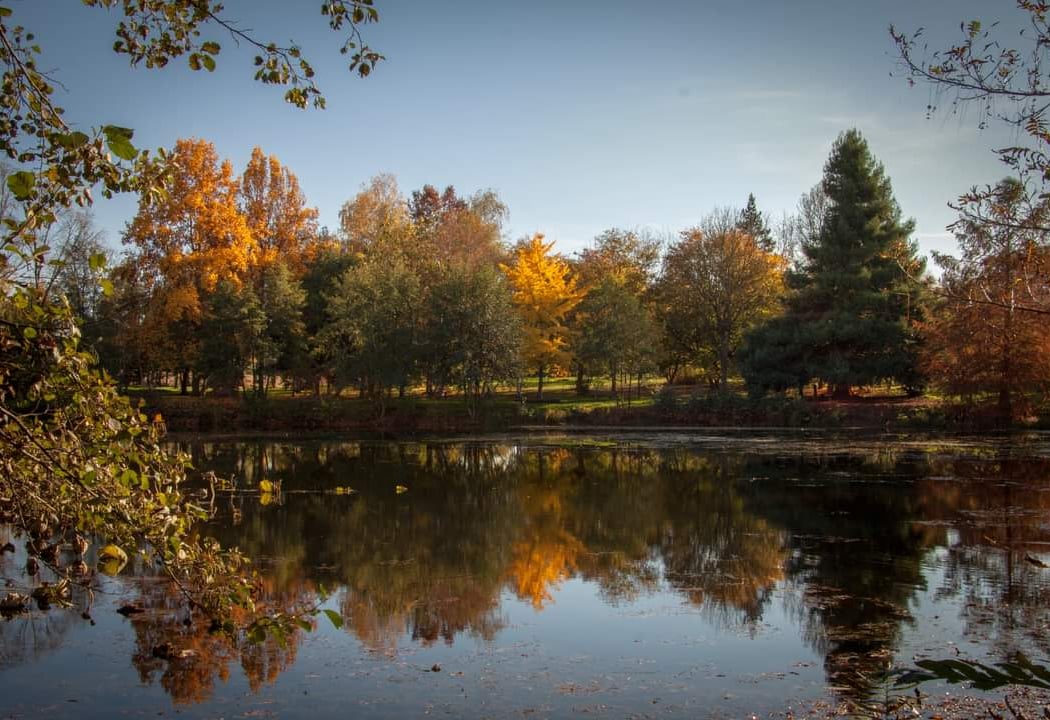 Arboretum 1