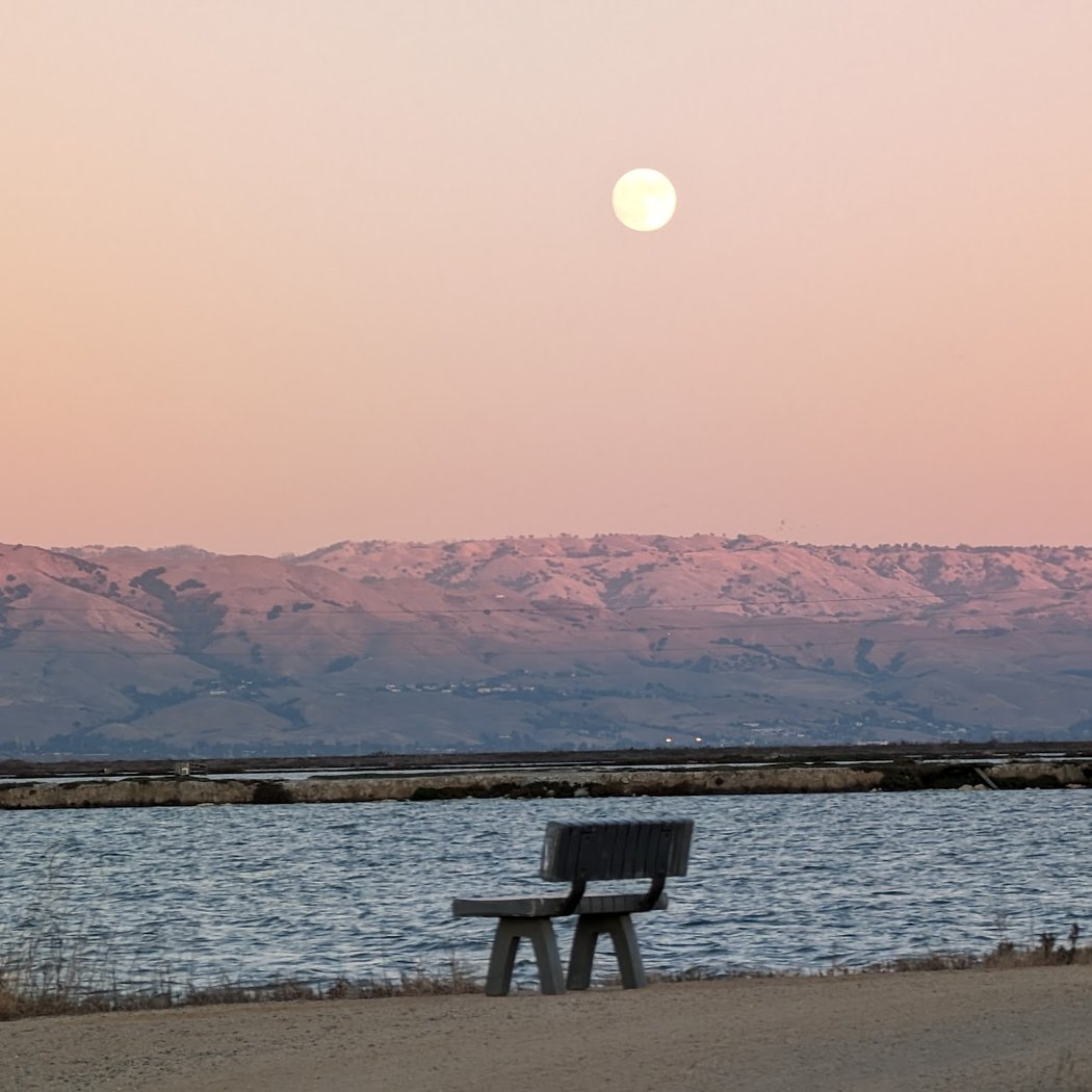 Don Edwards San Francisco Bay National Wildlife Refuge 1