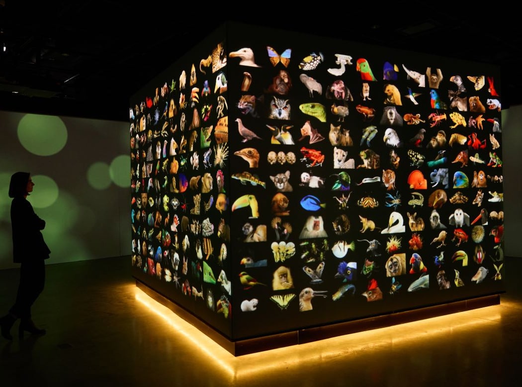 National Geographic Museum of Exploration (Grand Opening Season) 1