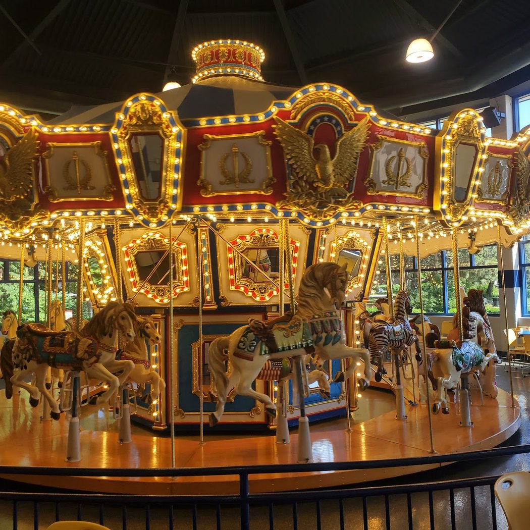 Jumps N' Jiggles Indoor Playground & Carousel 3