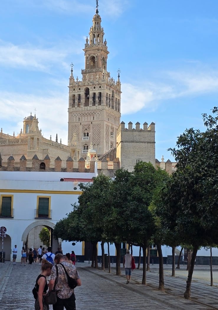 Tourism Sevilla Naturanda 2