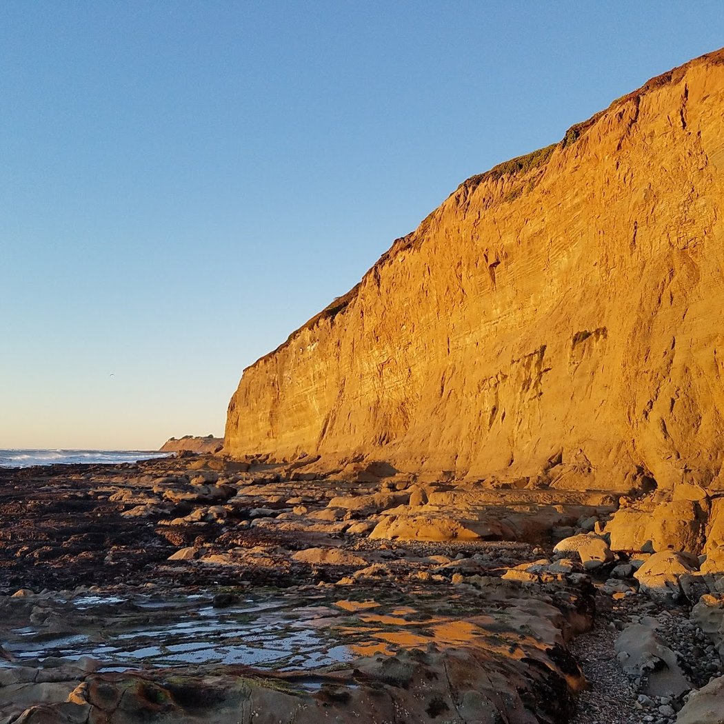 Coastal Walk at Pillar Point Bluff 1