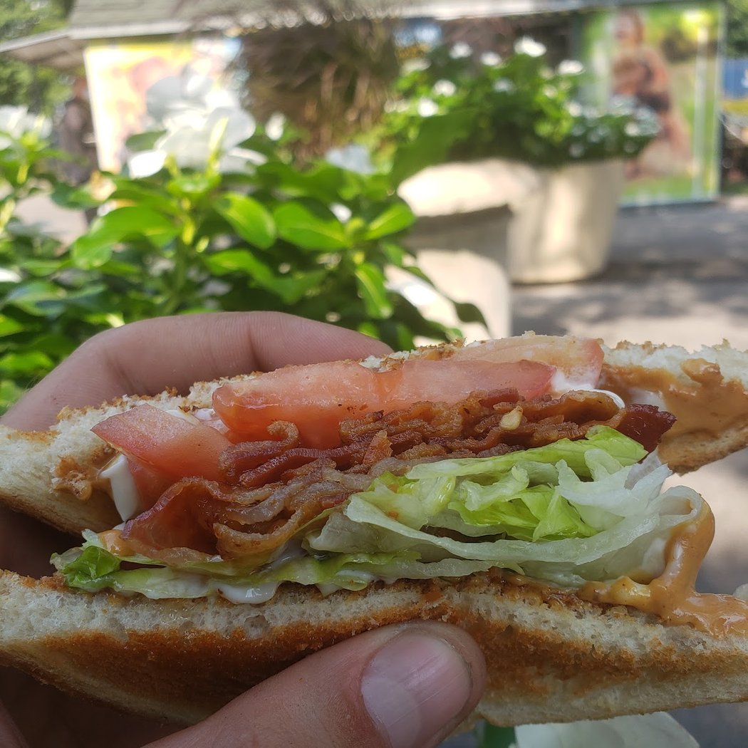 Tommy's Doghouse 2