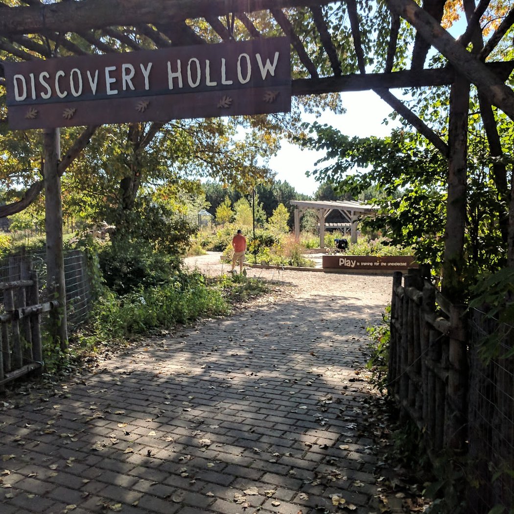 Tamarack Drop-In Discoveries: Garden Party 2