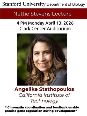 Talk by Angelike Stathopoulos 1