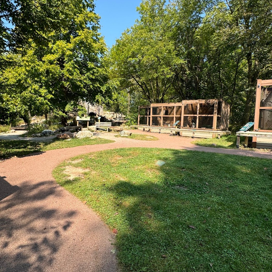 Critter House Open Hours 2