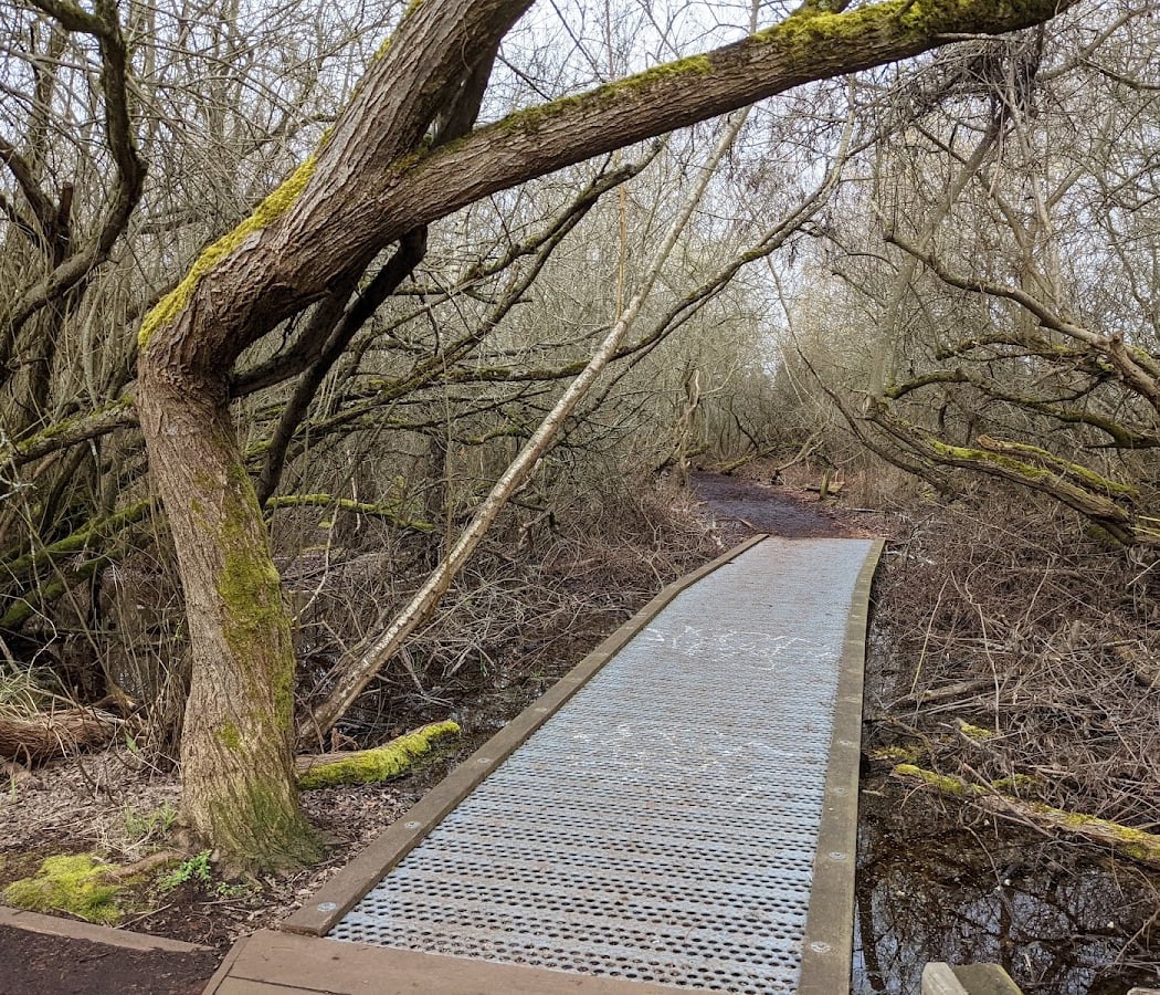 Foster Point Trail