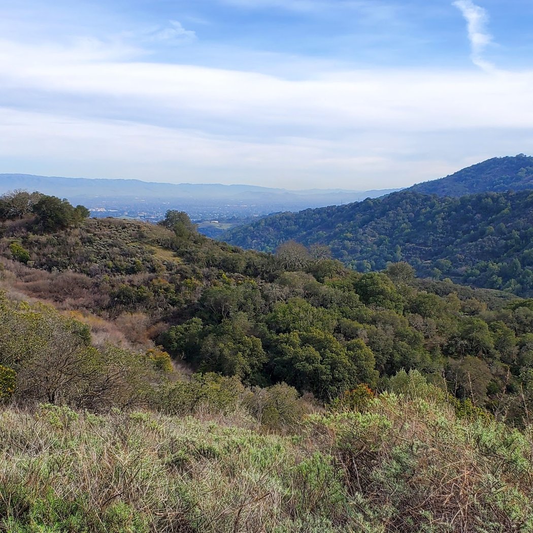 Chamise Trail 2