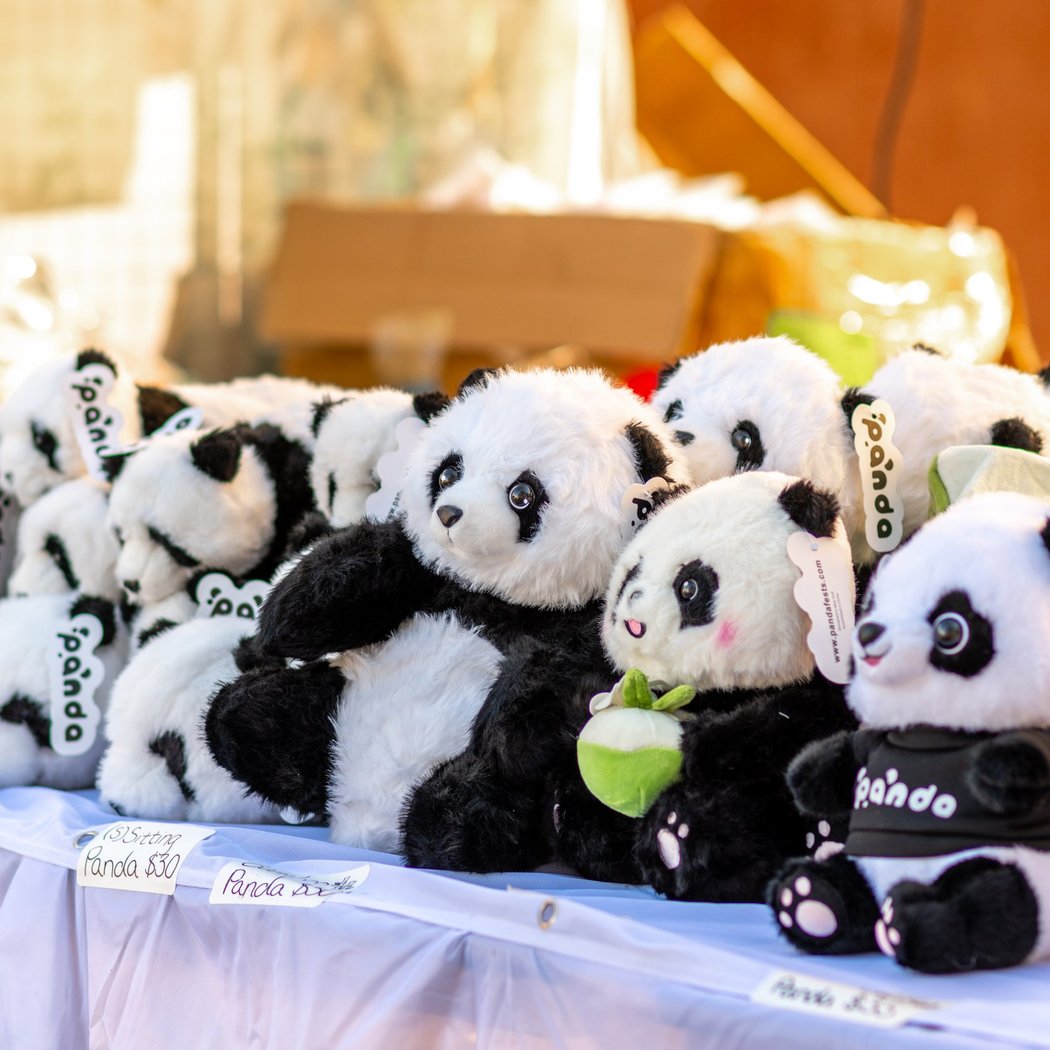 Panda Fest 3