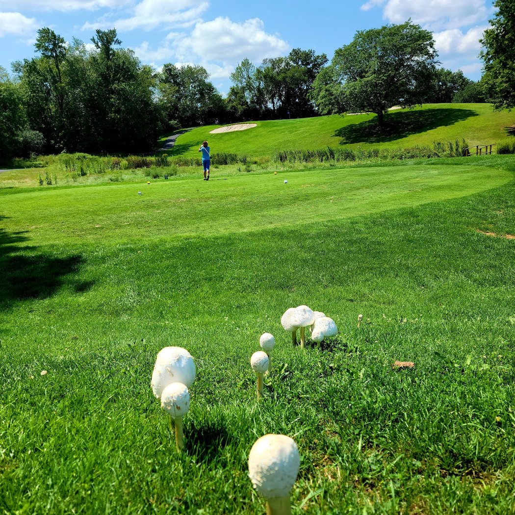 Stony Ford Golf Course 3