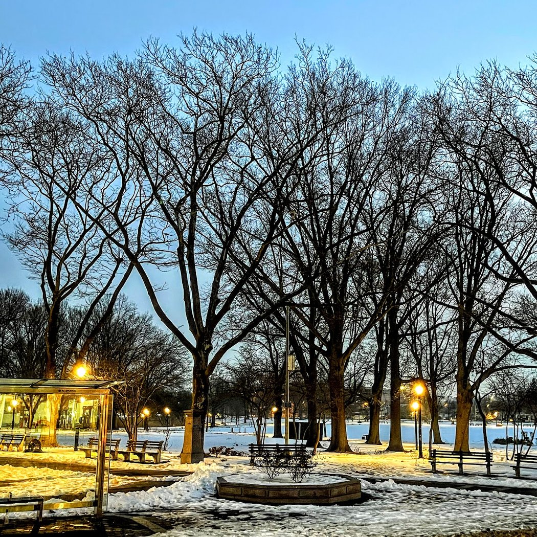 Marconi Park 1