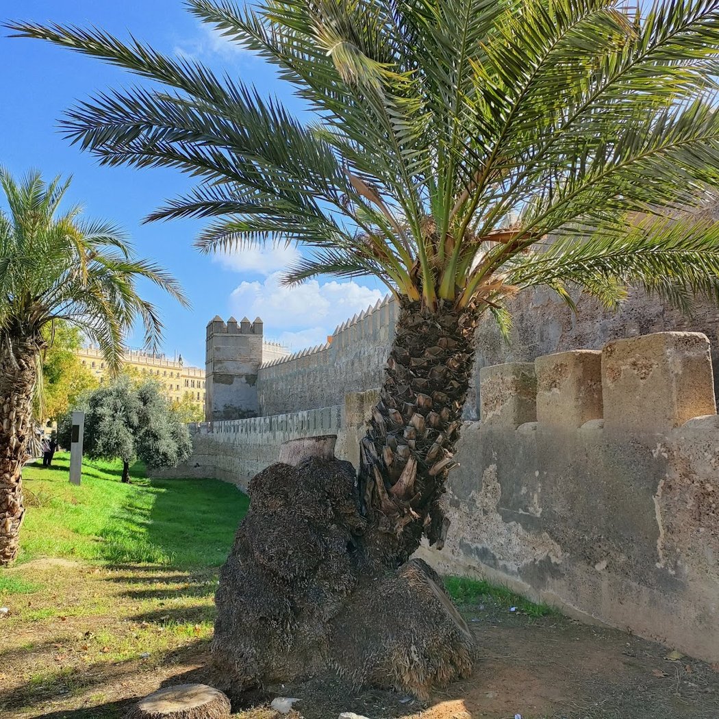 Jardines Muralla de la Macarena 2
