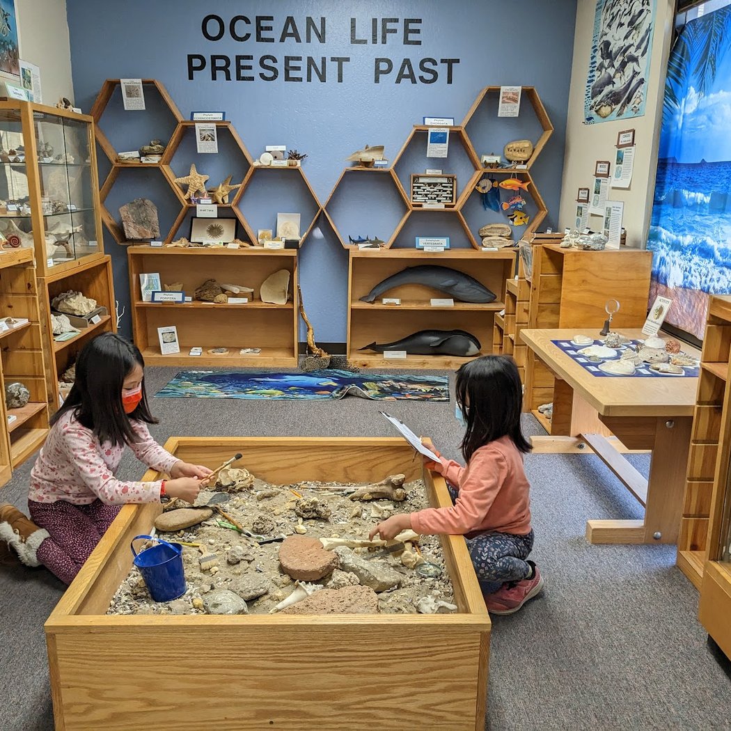 Children's Natural History Museum 1