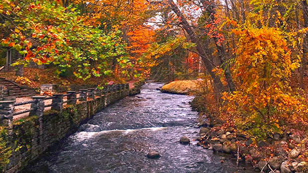 Saratoga Spa State Park 2