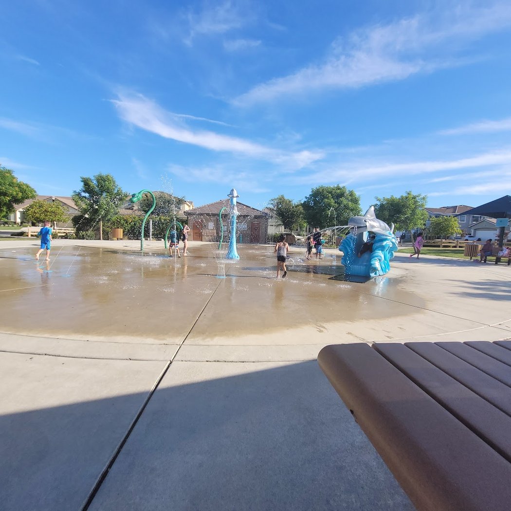 Dolphin Park 2
