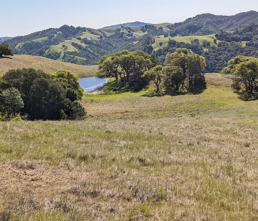 Curry Point, Mt. Diablo State Park 1