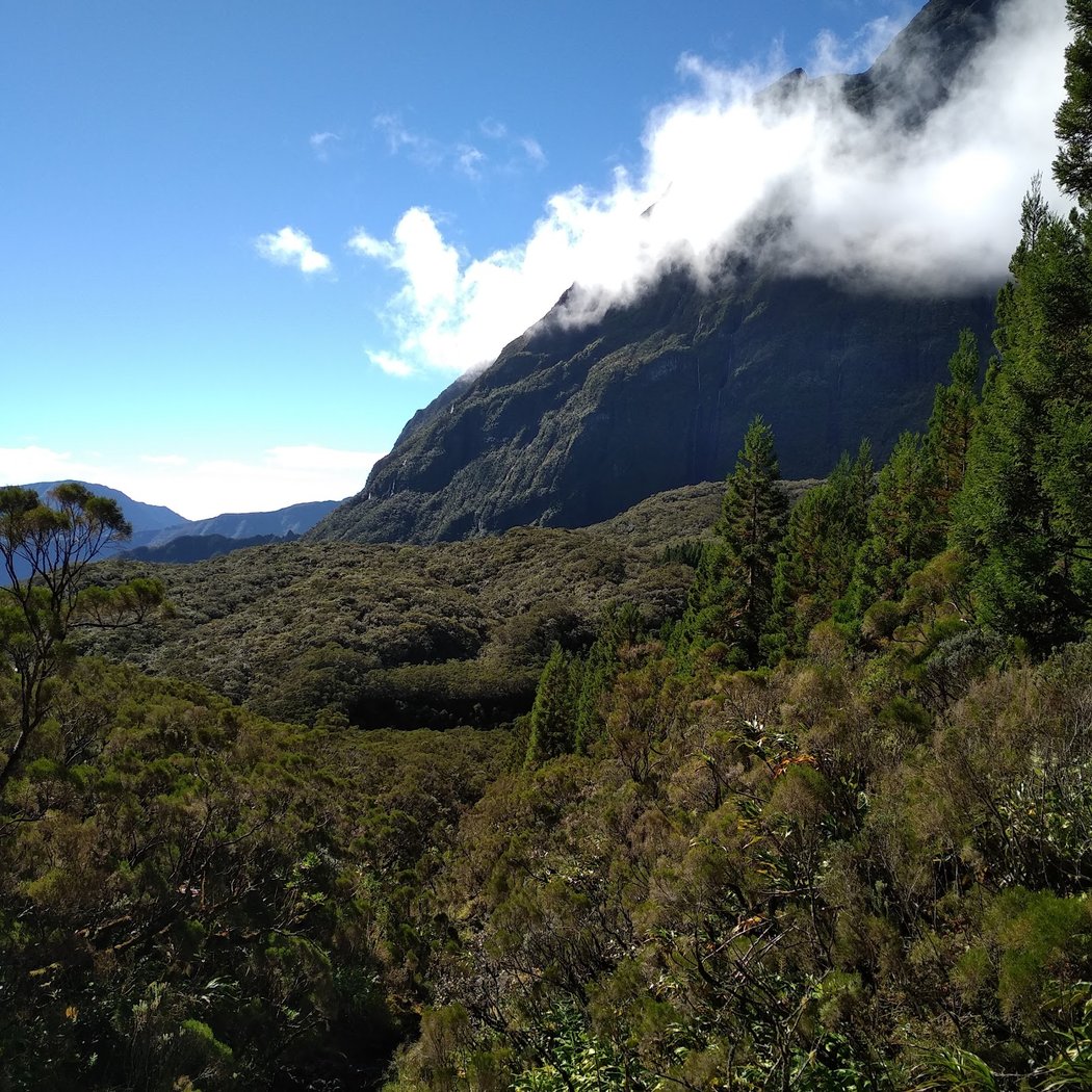RANDO RUN TREKKING 1
