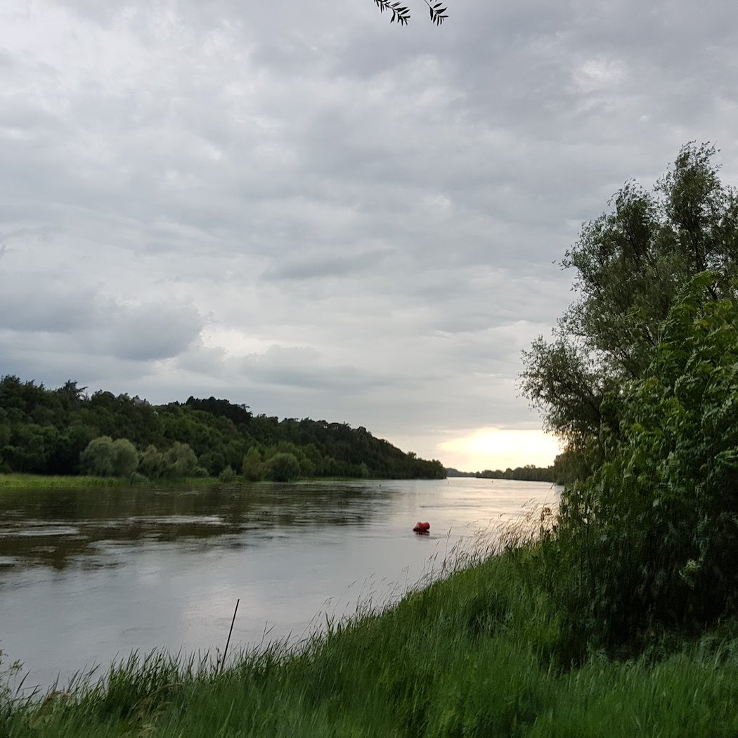 île de Chalonnes 2