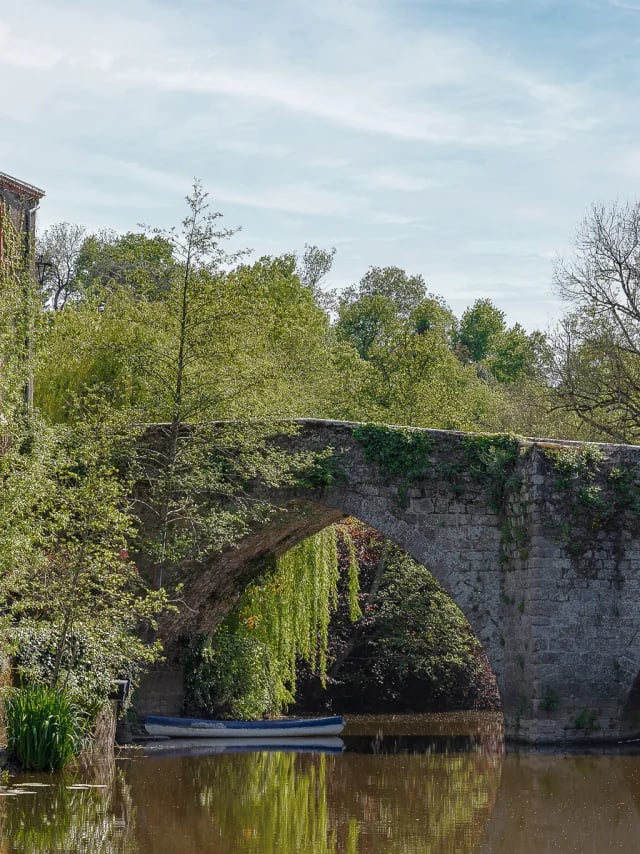 Pont Saint-Antoine 1