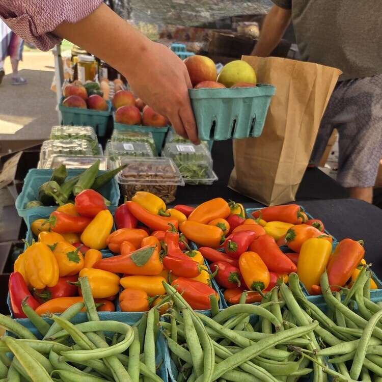 WashU Medicine Farmers Market 2