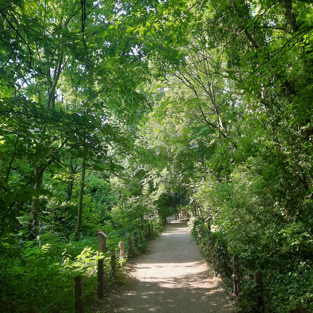 Coulée Verte 1