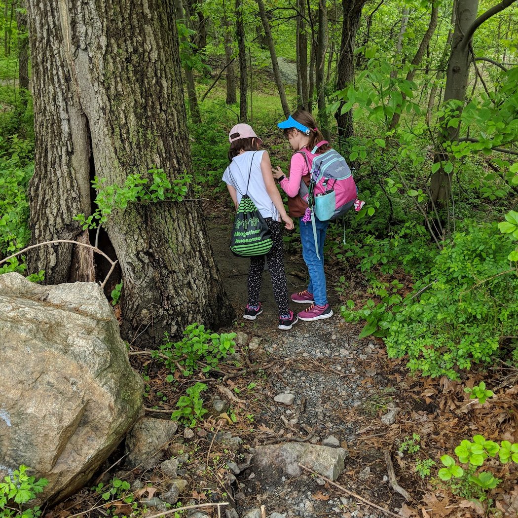 Hiking Trail Parking Area 3