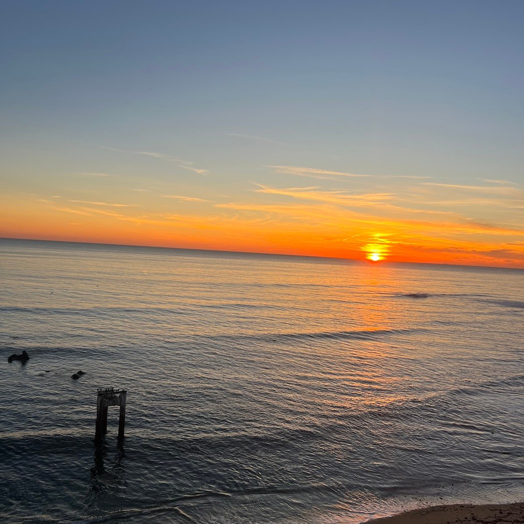 Davenport Landing Beach 1