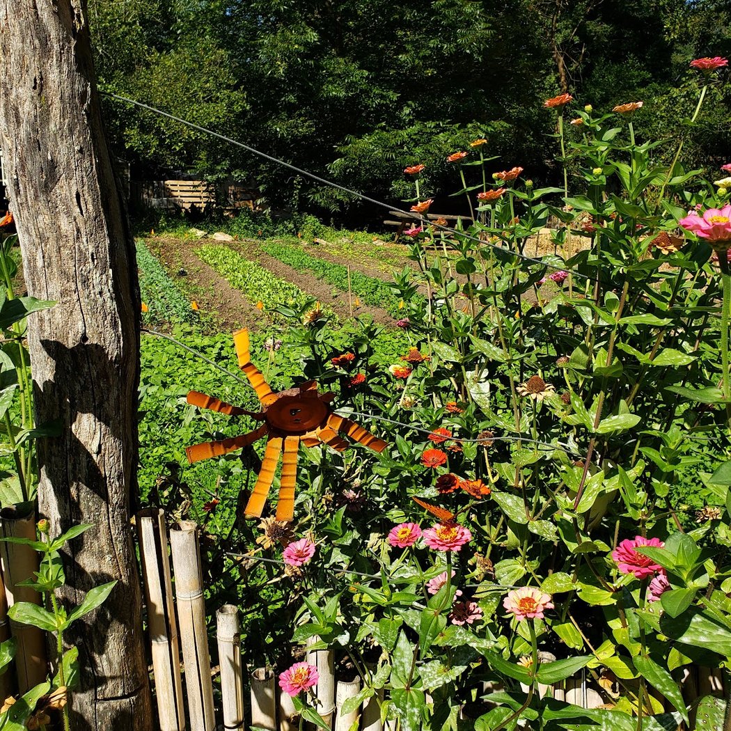 Wylde Center Oakhurst Garden 1