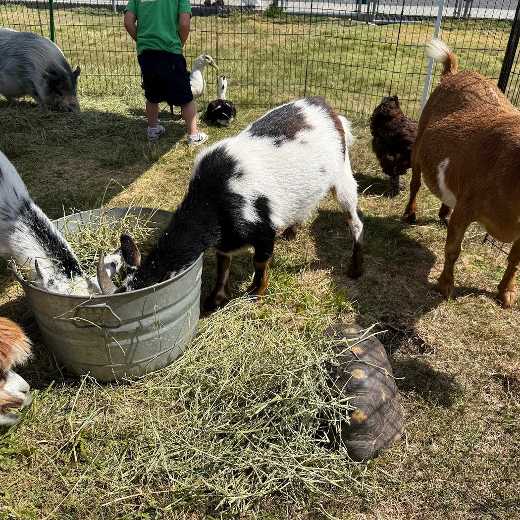 Little Explorers Mobile Petting Zoo 3