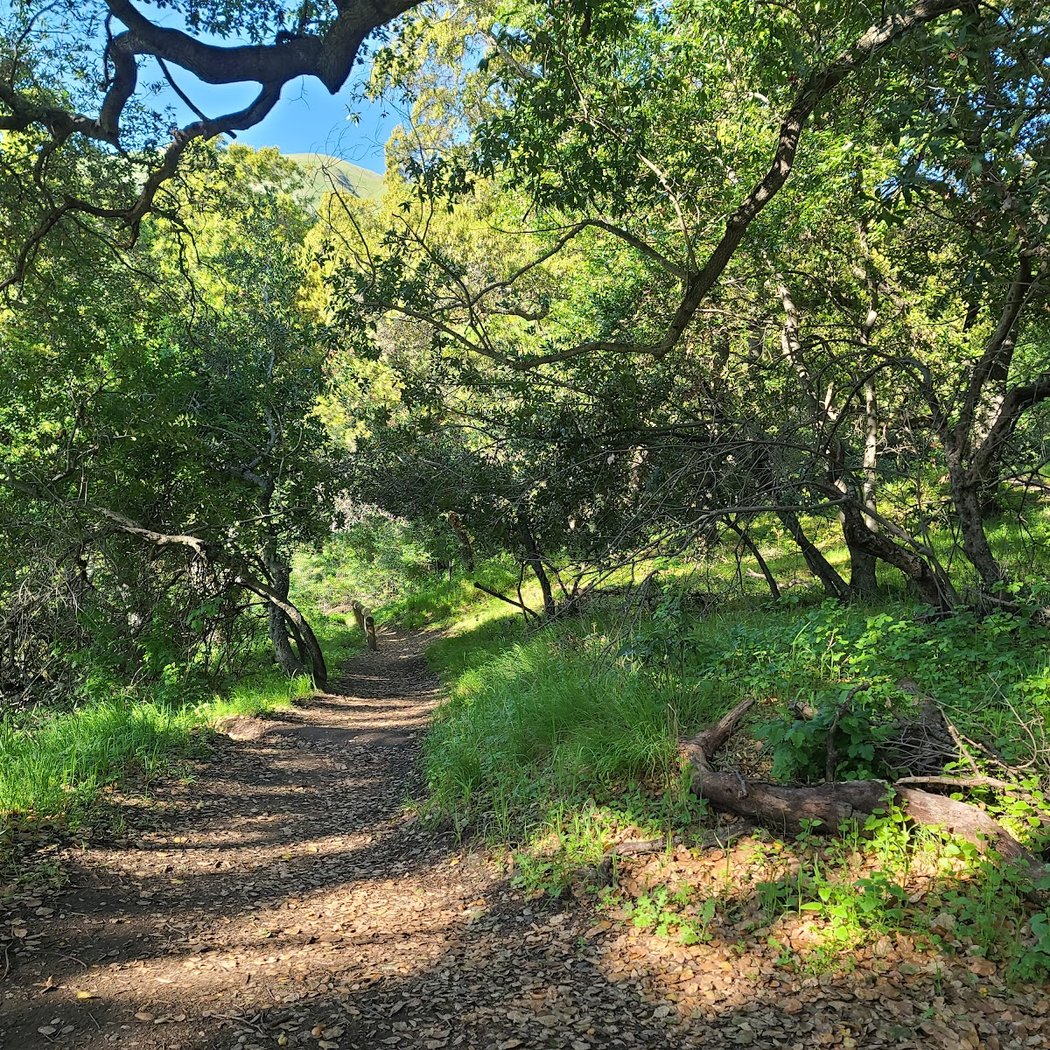 Inspiration Point 3