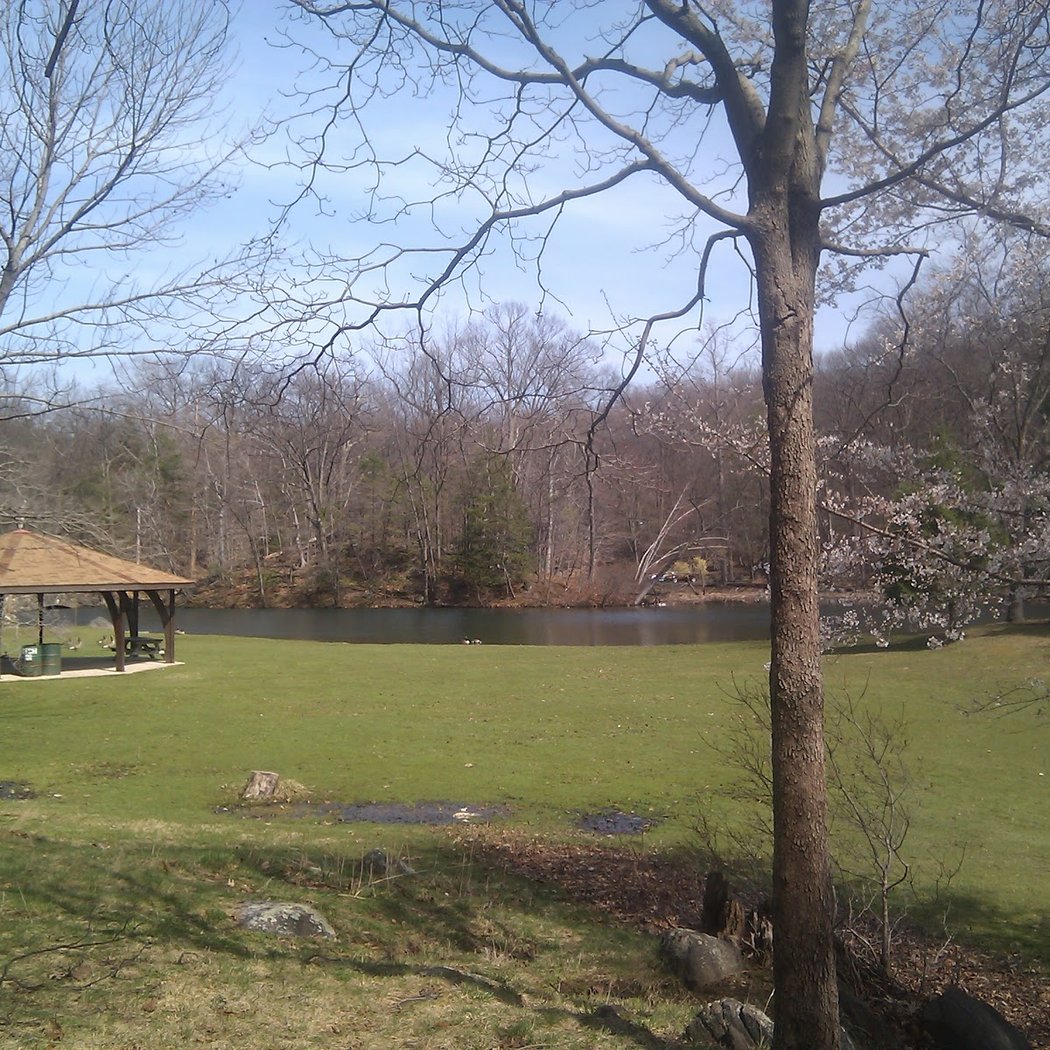 Depew Park 1