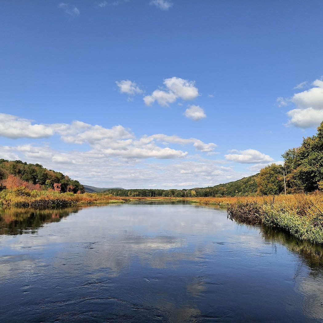 Bashakill Wildlife Management Area 2