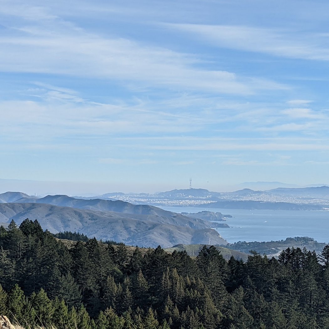 2026 Mt. Tam Wild Boar Half Marathon & 10K 2