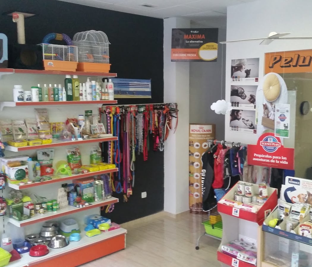 Pet Dog Grooming Nervion 2