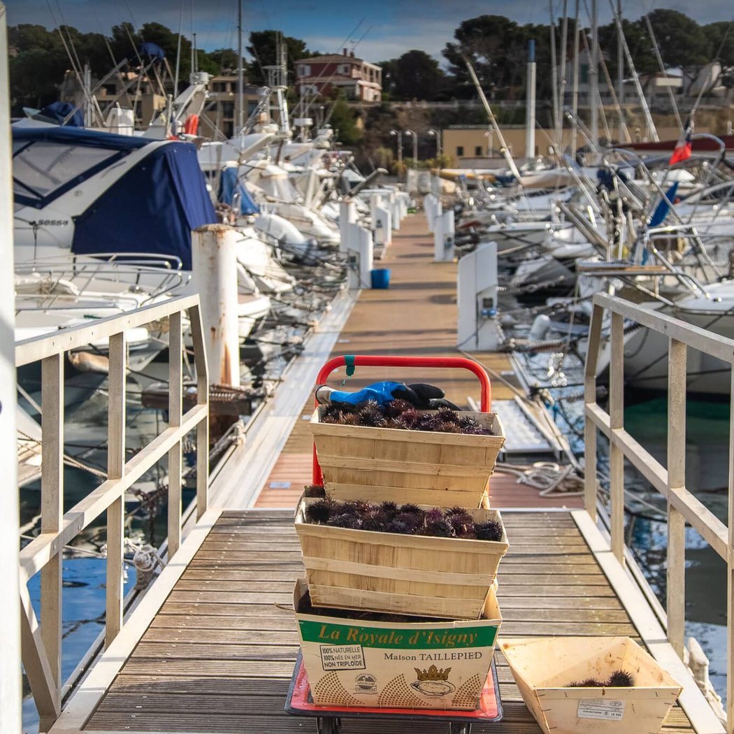 Port de Carry-le-Rouet 1