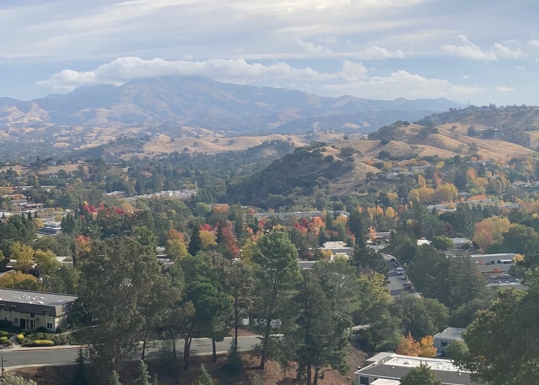 Walnut Creek 2