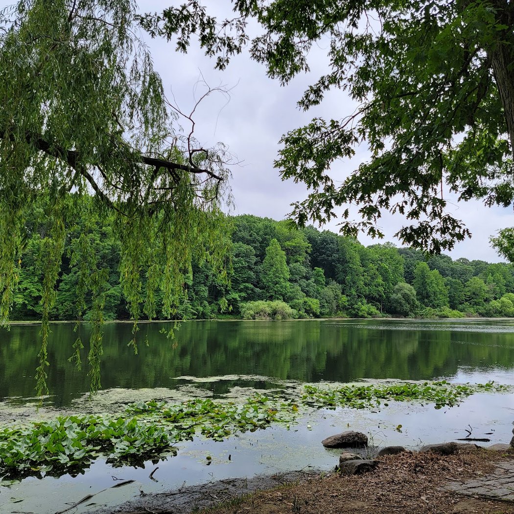 Oakland Lake 2