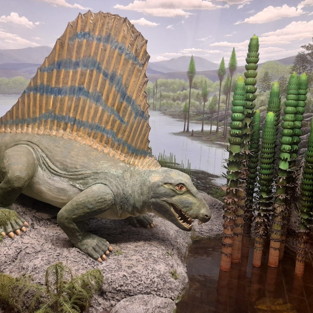Museum of Man and Nature 1