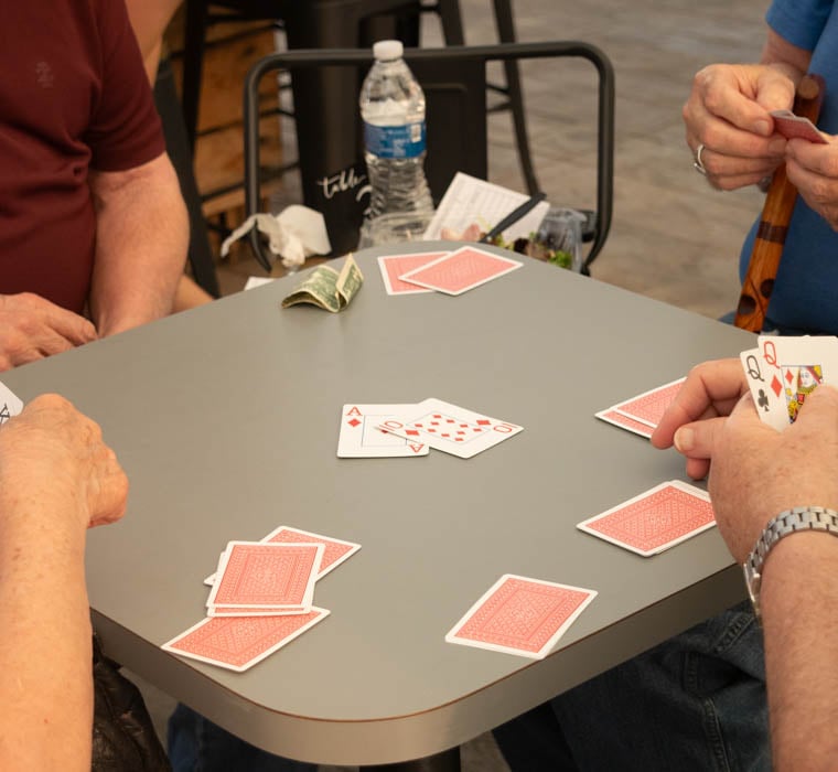 Metazoa Euchre Tournament 2