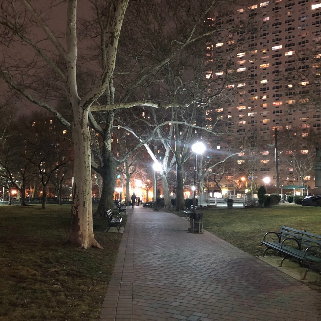 Stevens Park 3