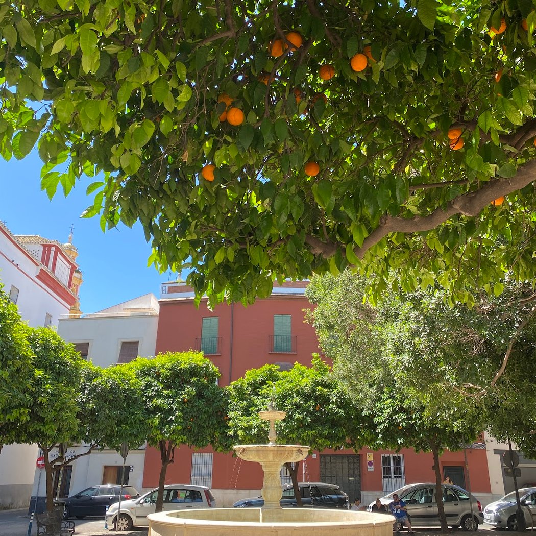 Plaza de San Leandro 1